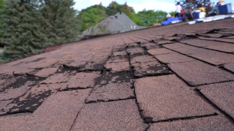 Best Roof Moss and Algae Removal  in Sandusky, MI