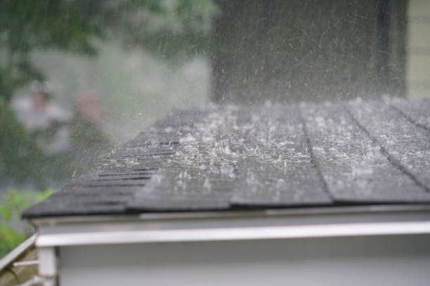 Best Emergency Roof Repair Services  in Sandusky, MI