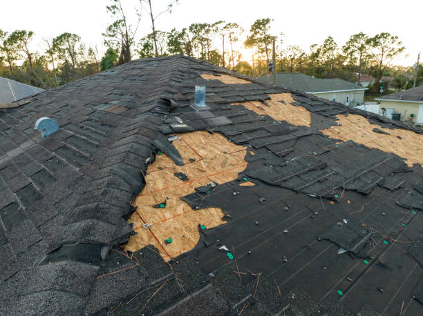 Best Green or Eco-Friendly Roofing Solutions  in Sandusky, MI