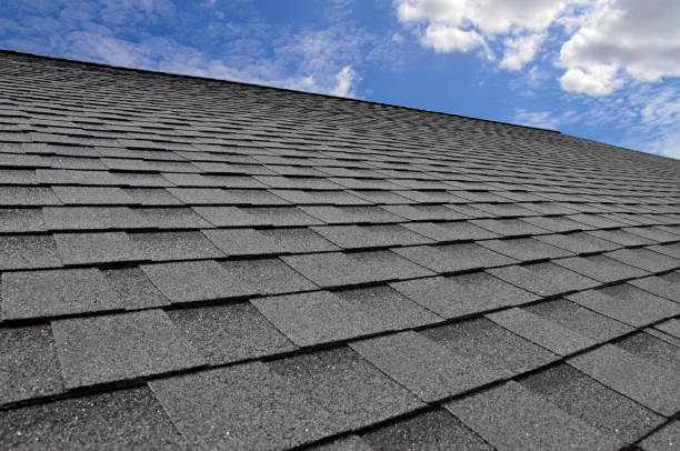 Best Asphalt Shingles Roofing  in Sandusky, MI